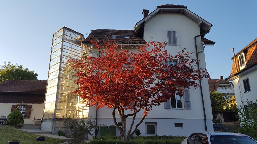 Hotel Casa Carmela Solothurn Exteriér fotografie